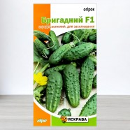 Насіння огірка бджолозапилюваного Бригадний F1, 0,5г, ТМ Яскрава